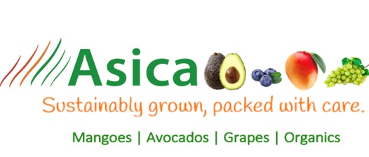 Image MP43Z8nZJ8uLaxLW